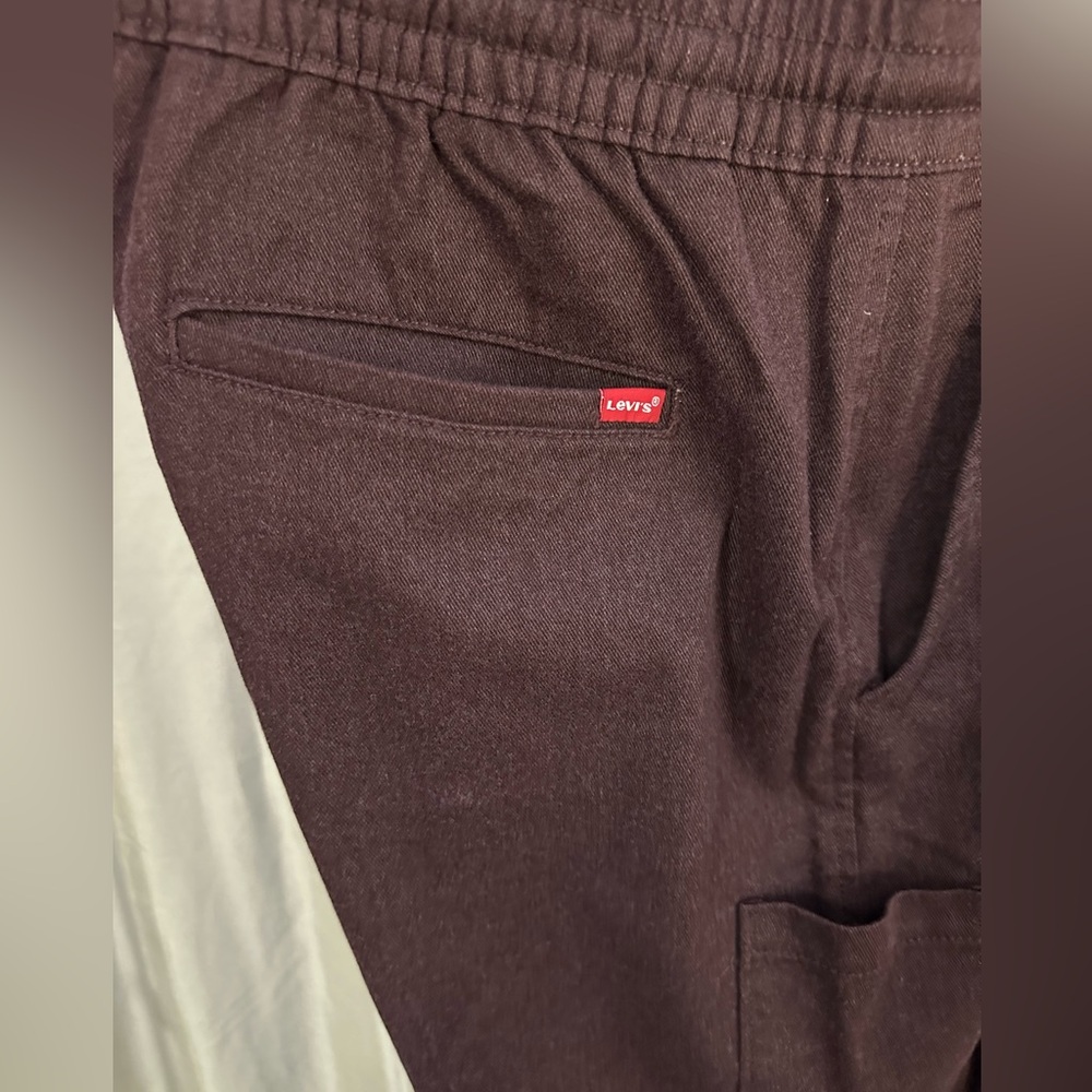Levi’s casual polyester/viscose blend aubergine pants (L)